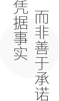 凭据事实，而非善于承诺的网站建设公司